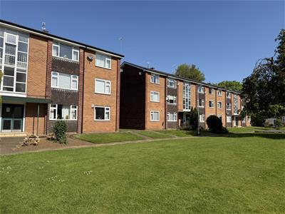 Picture 20
